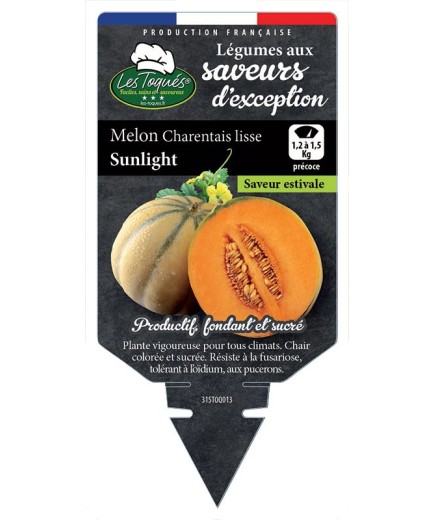 MELON CHARENTAIS LISSE SUNLIGHT
