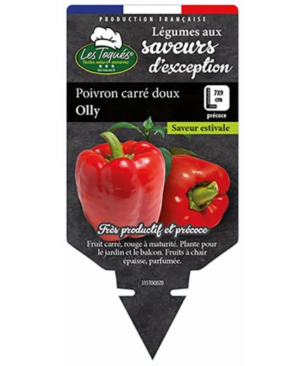 POIVRON CARRÉ DOUX OLLY