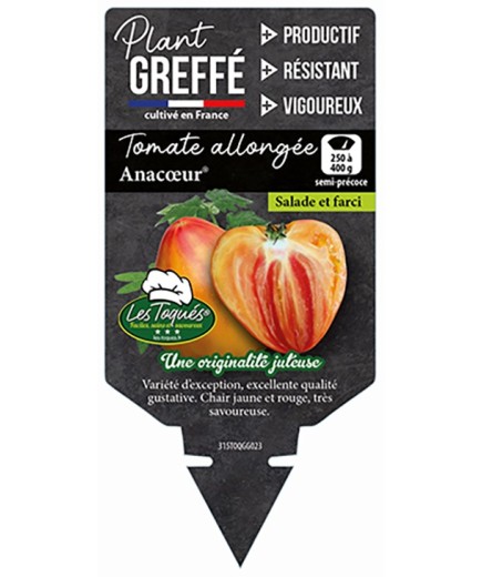 TOMATE ALLONGÉE ANACOEUR® PLANT GREFFÉ