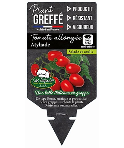 TOMATE ALLONGÉE ATYLIADE  PLANT GREFFÉ