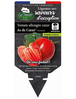 TOMATE ALLONGÉE CŒUR AS DE CŒUR® (CO 412 88)