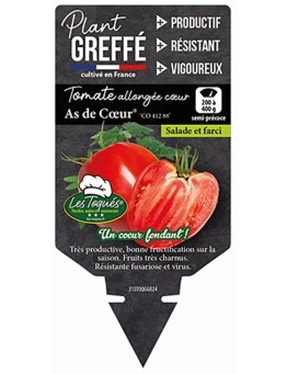 TOMATE ALLONGÉE CŒUR AS DE CŒUR® (CO 412 88) PLANT GREFFÉ