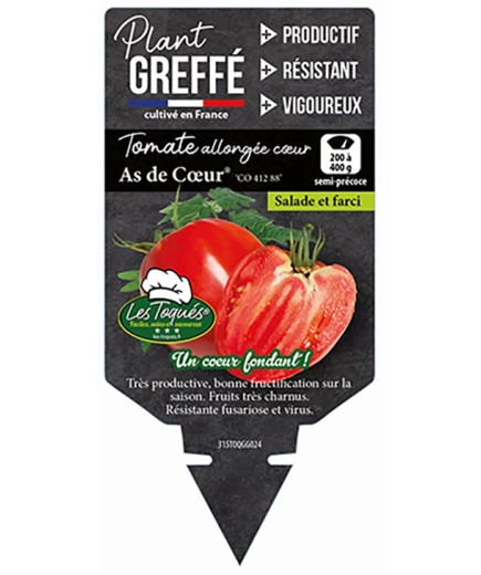 TOMATE ALLONGÉE CŒUR AS DE CŒUR® (CO 412 88) PLANT GREFFÉ