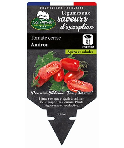 TOMATE CERISE AMIROU