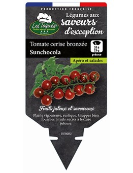 TOMATE CERISE BONZÉE SUNBROWN