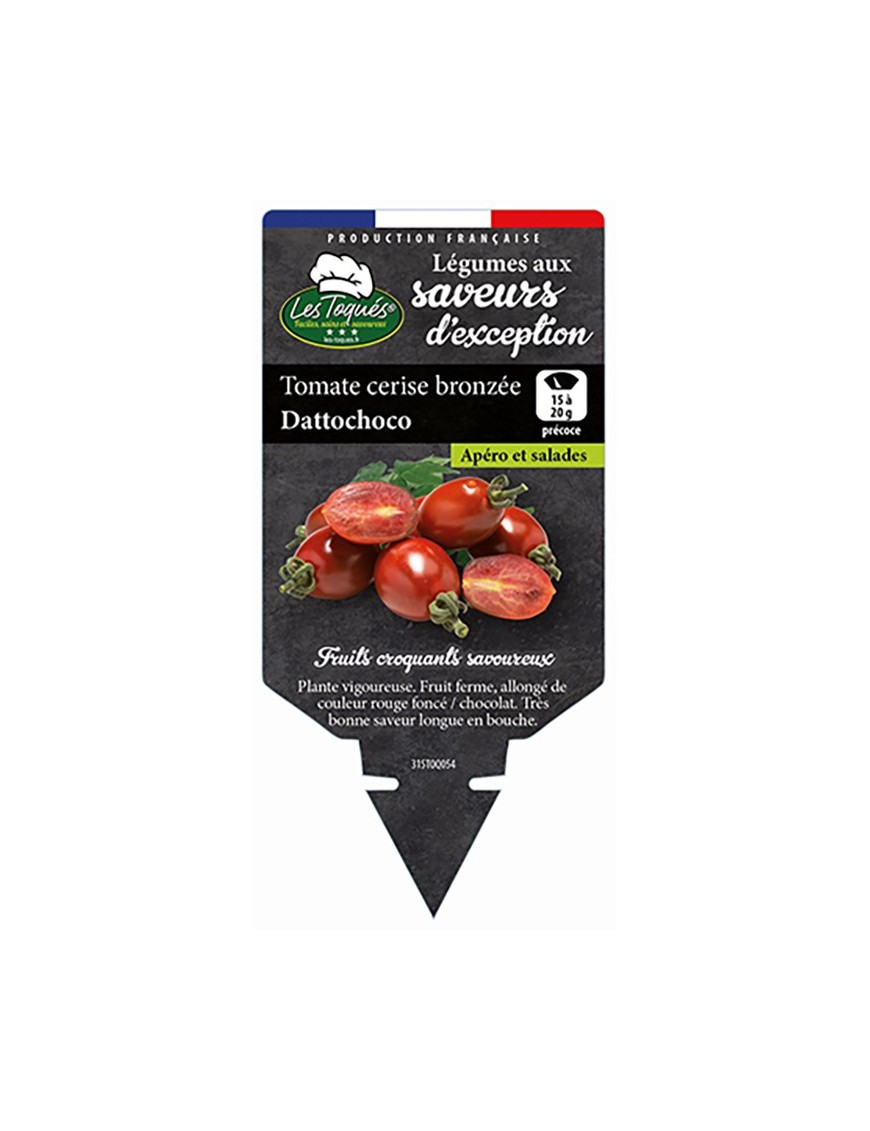 TOMATE CERISE BRONZÉE DATTOCHOCO