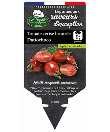 TOMATE CERISE BRONZÉE DATTOCHOCO