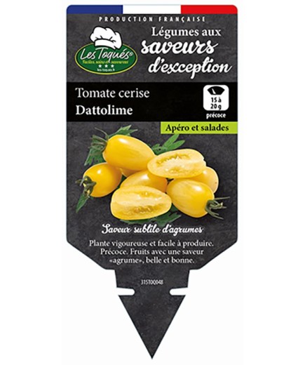 TOMATE CERISE DATTOLIME