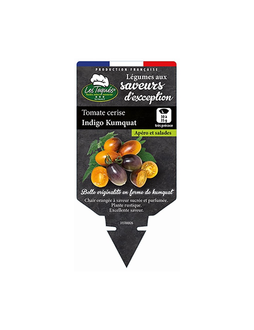 TOMATE CERISE INDIGO KUMQUAT