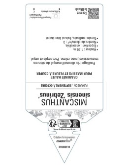 MISCANTHUS sinensis Zebrinus voir ROSEAU DE CHINE *