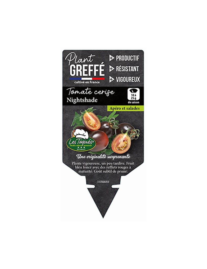 TOMATE CERISE NIGHTSHADE  PLANT GREFFÉ