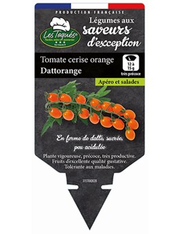 TOMATE CERISE ORANGE DATTORANGE