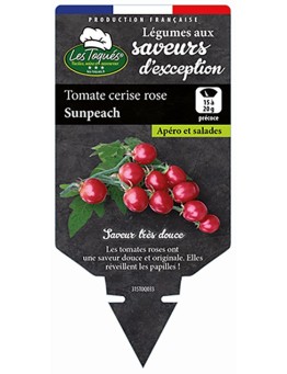 TOMATE CERISE ROSE SUNPEACH