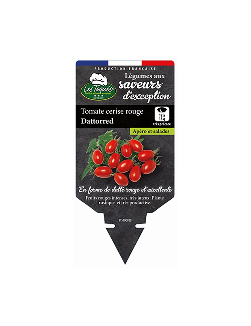 TOMATE CERISE ROUGE DATTORED