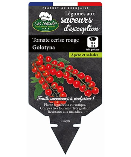 TOMATE CERISE ROUGE GOLOTYNA