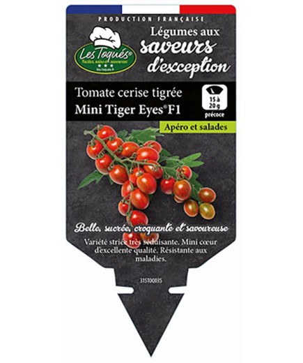 TOMATE CERISE TIGRÉE MINI TIGER EYES®