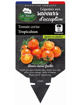 TOMATE CERISE TROPICALSUN