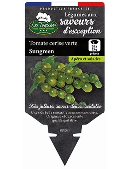 TOMATE CERISE VERTE SUNGREEN