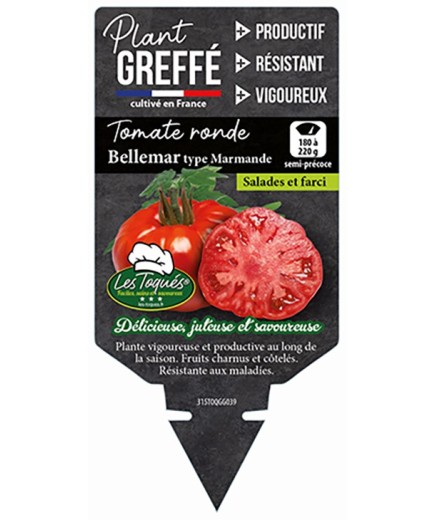 TOMATE RONDE BELLEMAR TYPE MARMANDE PLANT GREFFÉ
