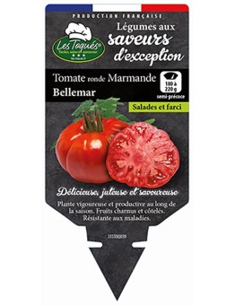 TOMATE RONDE MARMANDE BELLEMAR