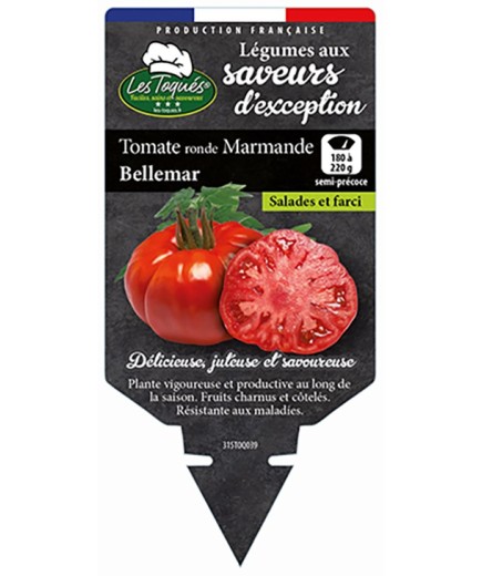 TOMATE RONDE MARMANDE BELLEMAR