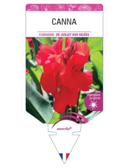 CANNA (rouge) *
