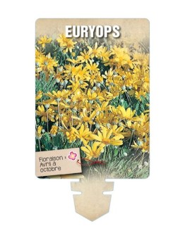 EURYOPS *
