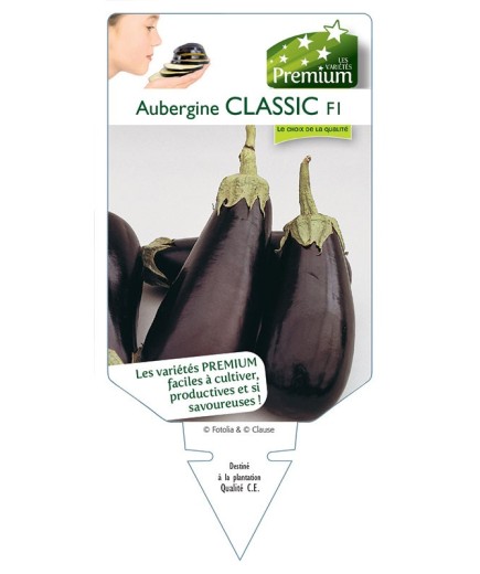AUBERGINE CLASSIC F1