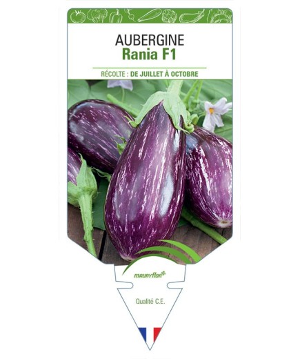 AUBERGINE RANIA