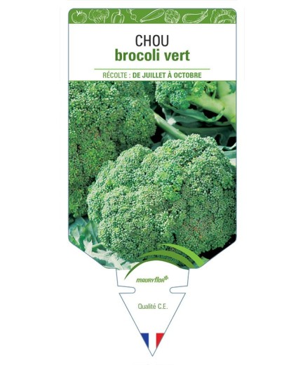 CHOU BROCOLI VERT