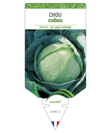 CHOU CABUS