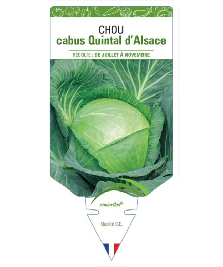 CHOU CHOUCROUTE QUINTAL D'ALSACE