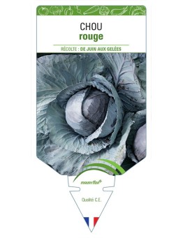 CHOU ROUGE