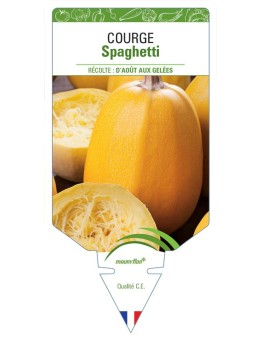 COURGE SPAGHETTI