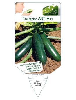 COURGETTE ASTIA F1