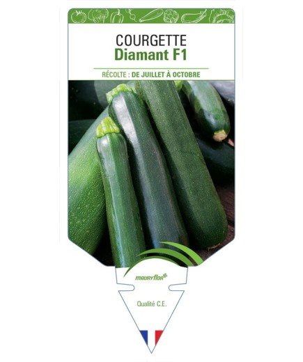 COURGETTE DIAMANT F1