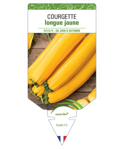 COURGETTE LONGUE JAUNE