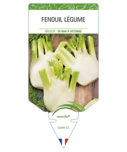 FENOUIL LÉGUME *