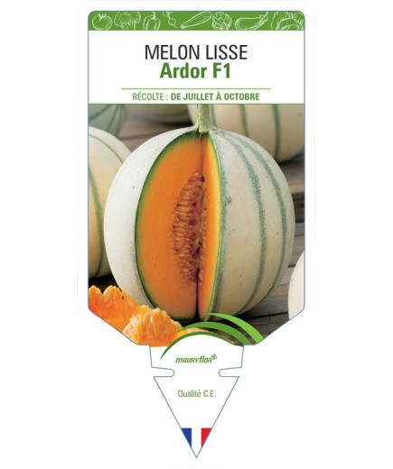 MELON ARDOR F1