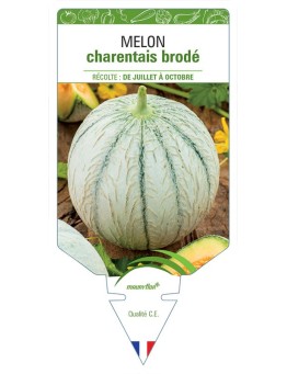 MELON CHARENTAIS BRODÉ