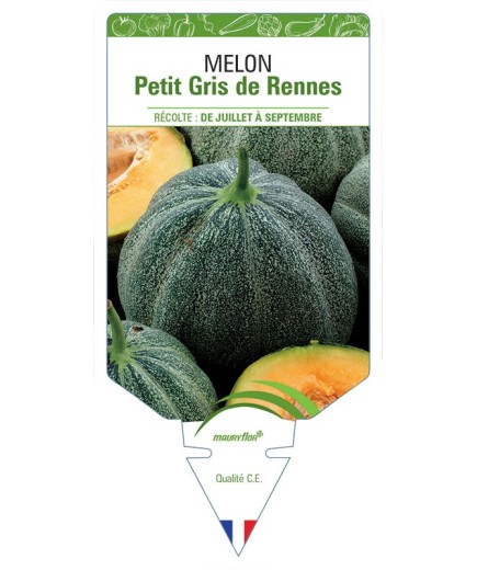 MELON PETIT GRIS DE RENNES *
