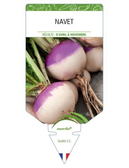 NAVET *