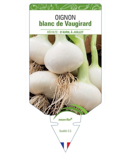 OIGNON BLANC DE VAUGIRARD