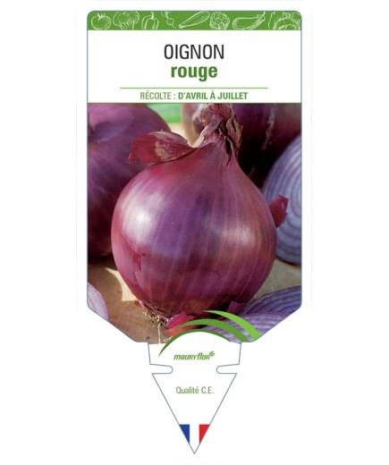 OIGNON ROUGE