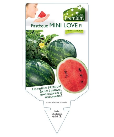 PASTÈQUE MINI LOVE F1