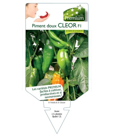 PIMENT DOUX CLEOR