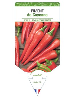 PIMENT DE CAYENNE