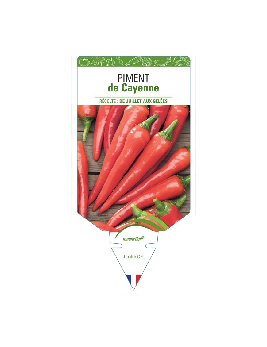 PIMENT DE CAYENNE