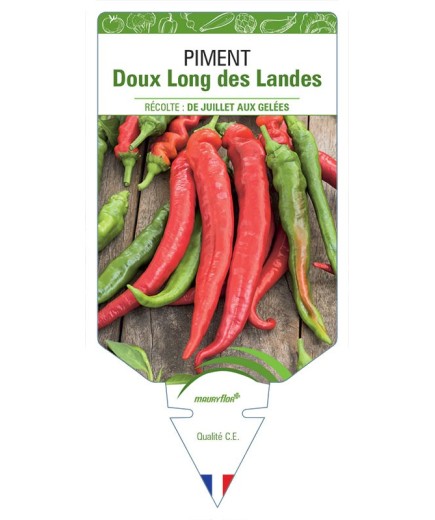 PIMENT DOUX LONG DES LANDES