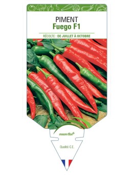 PIMENT FUEGO F1